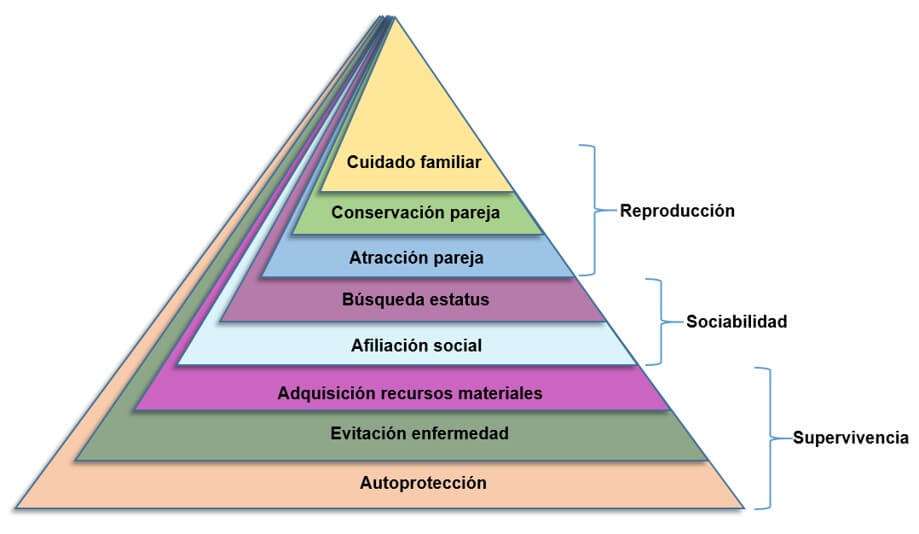 ¿Por qué adolescentes y jóvenes asumen riesgos? Una mirada desde la psicología evolutiva 2